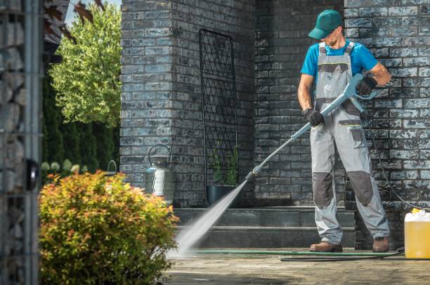 Best Animal Enclosure Cleaning  in Corona, CA